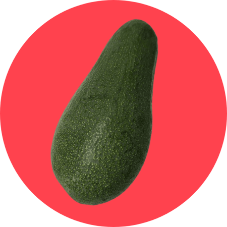 Avocado fuerte italiano, dalla forma lievemente a pera, color verde scuro, buccia liscia, su fondo circolare rosso