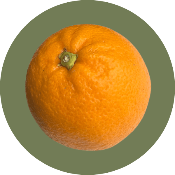 Arancia di tipo navel intera, dalla buccia arancione brillante, su sfondo circolare verde. Coltivata in Italia con metodi naturali.