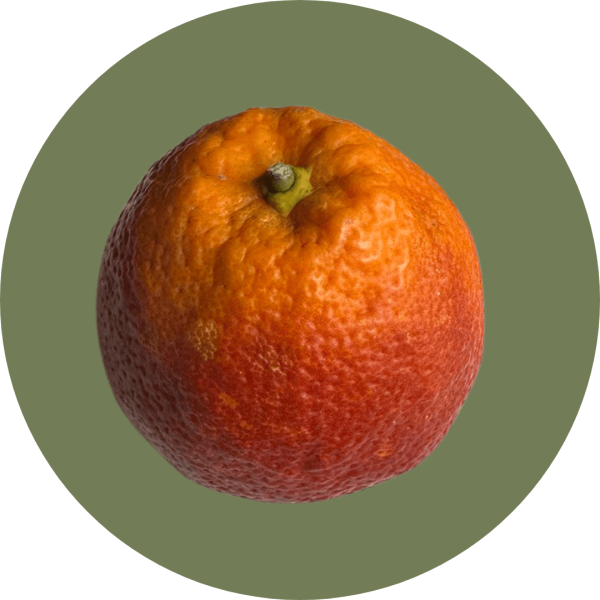 Arancia Moro, dalla buccia arancione che vira al rosso. Posta su sfondo circolare verde. Coltivata in Italia con metodi naturali.